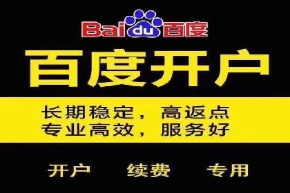解析SEM主管在竞争激烈市场中的生存之道——以成功案例为鉴